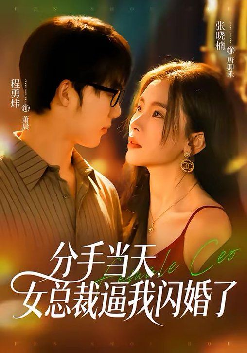 分手当天，女总裁逼我闪婚了(全集)
