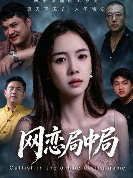 网恋局中局(全集)