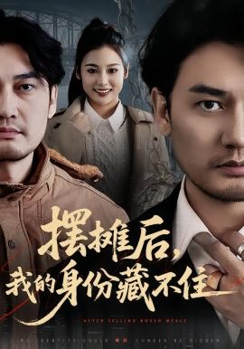 摆摊后，我的身份藏不住(全集)