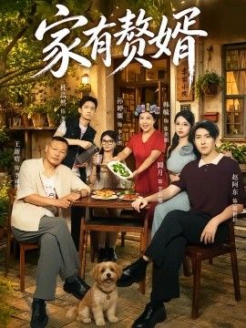 家有赘婿(全集)