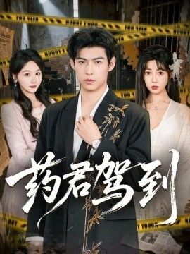 药君驾到(全集)